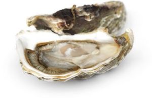 <p>Oysters:</p><p>Galician oyster and from south of France</p>