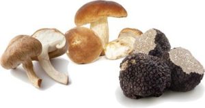 <p>Fungus:</p><p>Fredolic, llanega and truffle</p>